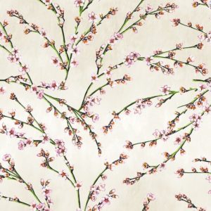 tissu coton ameublement fleurs d'amandier beige